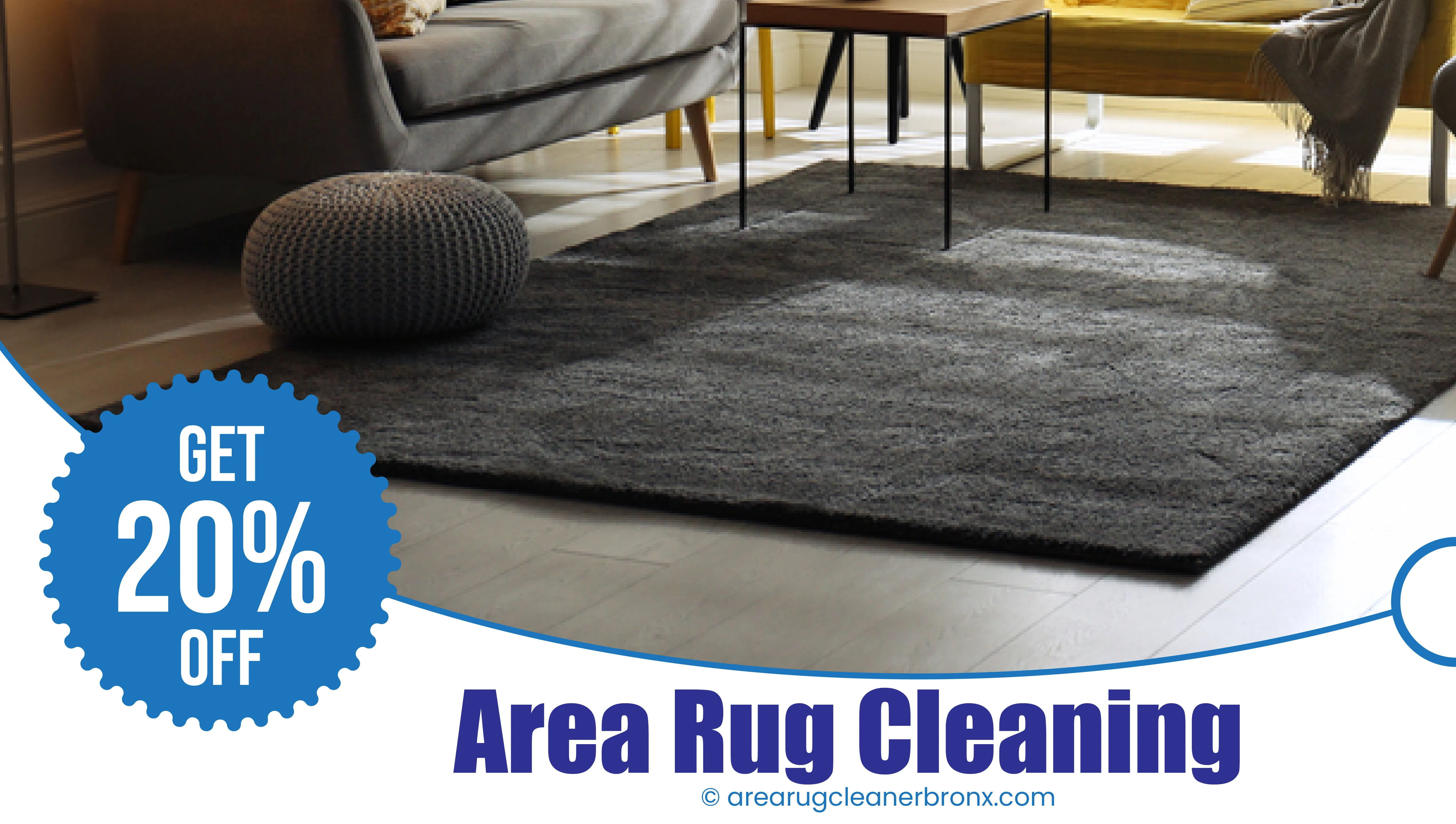 area rug cleaning services