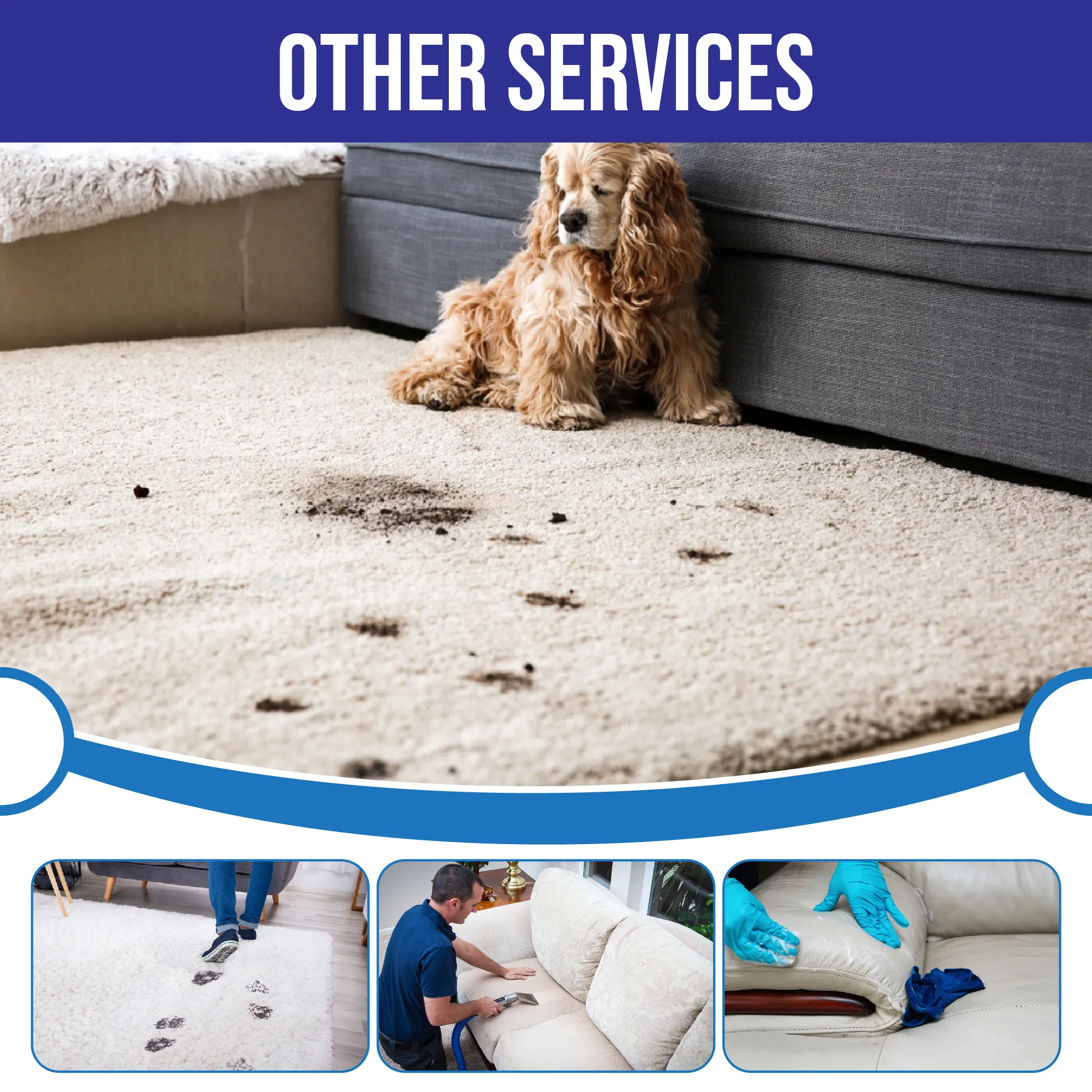 carpet cleaning in bronx, carpet cleaning bronx, carpet cleaners in bronx, carpet cleaners in bronx, commercial carpet cleaning, commercial carpet cleaning in bronx, bronx rug cleaners, rug cleaning services in bronx, same day carpet cleaning, same day rug cleaning in bronx