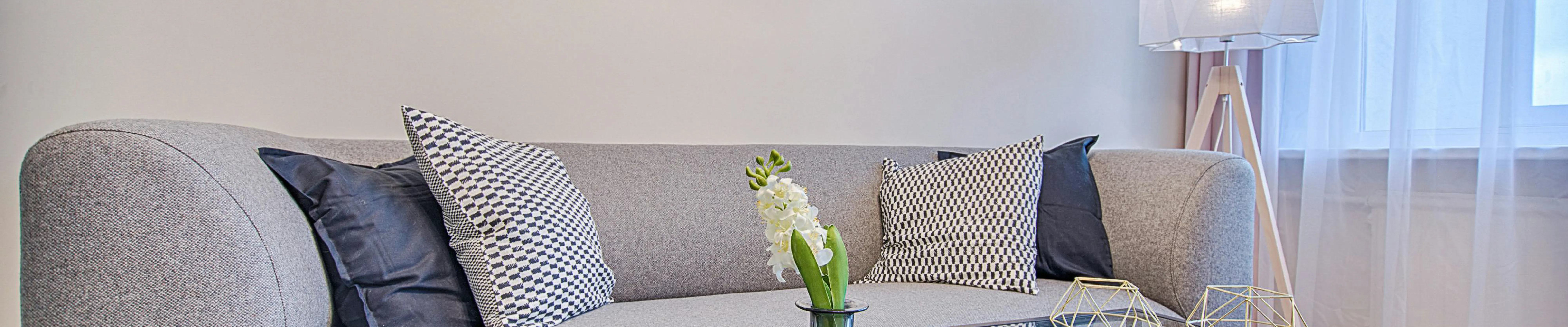 Best Upholstery Cleaner Machine: The Ultimate Restoration Guide
